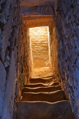 ESCALIER DE LA CAVE VOUTEE